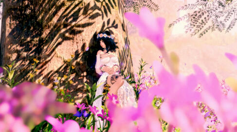 Il Mheg Faerie